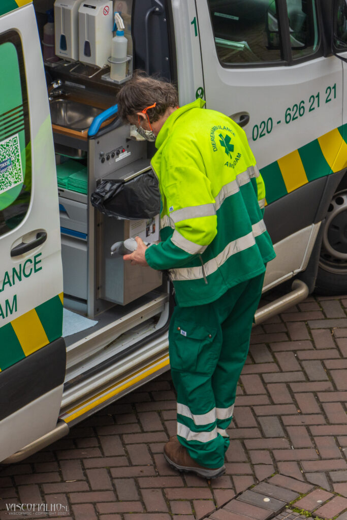 Dieren Ambulance - vascofialho.nl