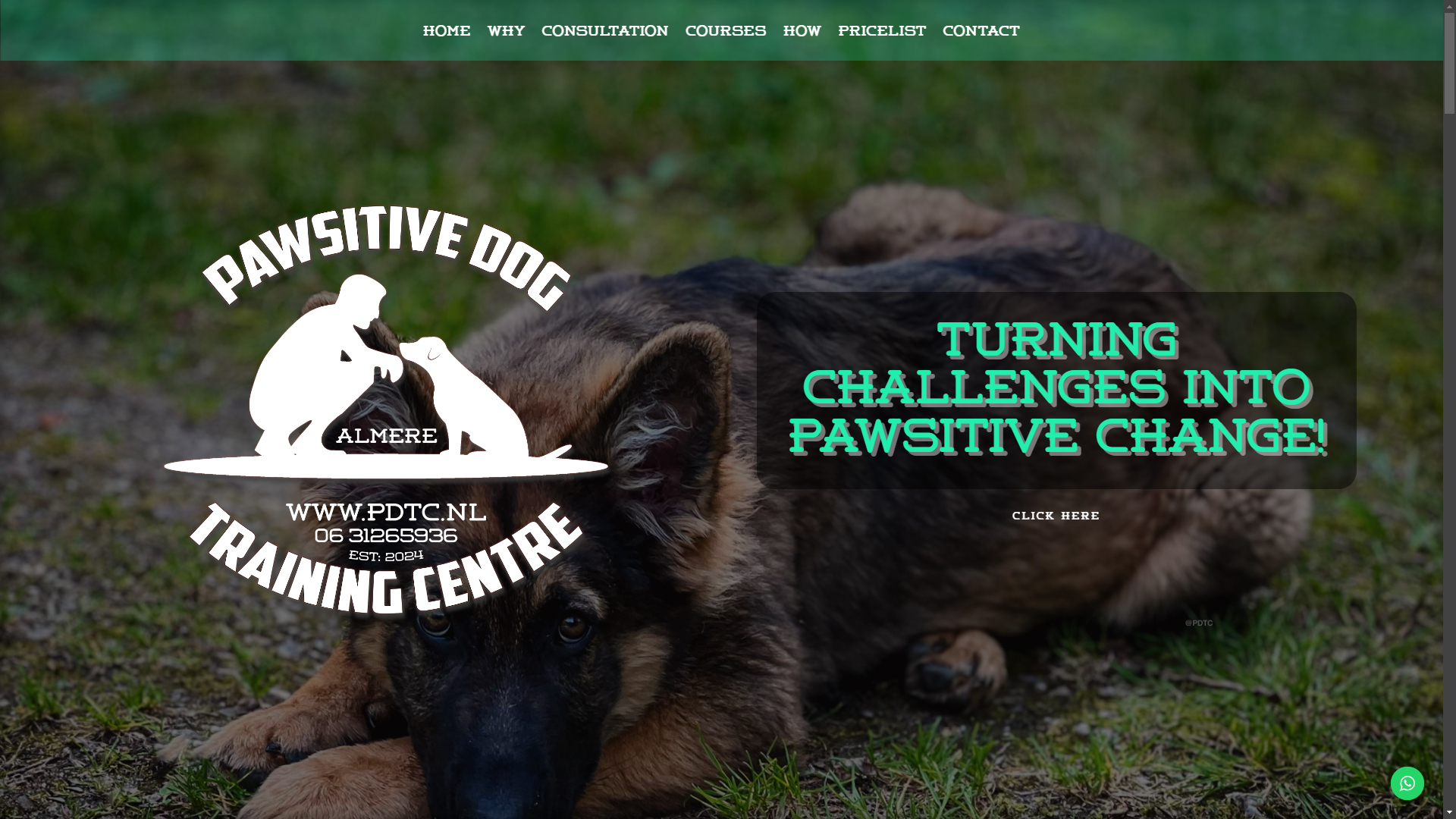 Pawsitive Dog Training Centre Almere